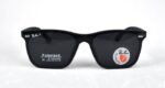 Ray-Ban 4487 Polarized Sunglasses for Men and women